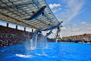 名古屋港水族館